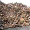 brand-shredder-2007-bild-0033